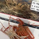 영덕 대게 맛집 내돈내산 : 풀코스로 맛있게 먹었던 대게천국(대게 가격, 주차정보 ⭕️)