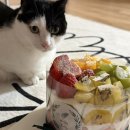 69 | [달서구 케이크] 비주얼 미친 과일케이크 맛집 제이델링 달서구점 l 솔직 후기 (대구 과일 케이크 추천)