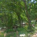 바라산자연휴양림 이미지