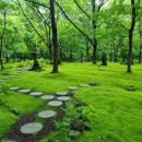 [함양여행]걷기 좋은 길이 있는 아름다운 여행지 함양 상림숲 이미지