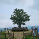 삼양정육점 이미지