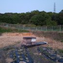 재호농장2 이미지