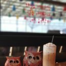 카페티밥