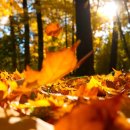 린피부과의원 이미지