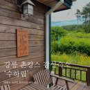 수하림 | [강릉숙소] 강릉 촌캉스 분위기의 감성 숙소 ‘수하림’ 후기