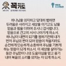 콩깍지 이미지