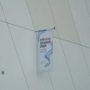 홍백농장 | 2019관상어박람회 일산 킨텍스 8.18 마지막날 다녀온 후기 1부