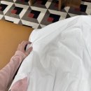 4인용 가죽 패브릭소파 목동현대백화점 에싸 방문 후기