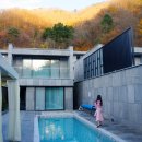 빌라 퍼즈 이미지