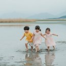 2025 세계유산축전-선암사·순천갯벌 | 2025 순천 세계유산축전 선암사 순천갯벌 완벽 가이드: 아이와 함께하는 특별한 경험!