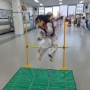 도담태권도장 이미지