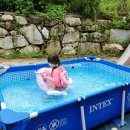 마산가축병원 이미지