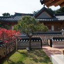 동해한옥펜션 이미지