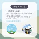 고래상점제주 이미지