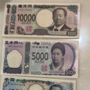 일본 입국 및 나리타 익스프레스 나리타 (공항 발 도쿄 도착편)후기