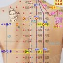 신도(神道)-GV11 이미지