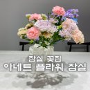 아네트플라워잠실