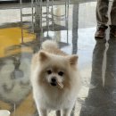 겟풀(GETPOOL) 이미지