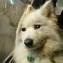 서현안과의원 | 메디피움 분당의원 건강검진 위내시경, 스케일링 포함 소요시간 문진표 작성과 결과