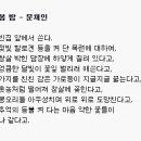 봄 밤 - 문채인 이미지