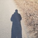 빛과 그림자 이미지