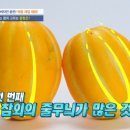 쌍둥이과일 이미지