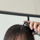뉴헤어보고서