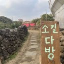 소길동백 이미지