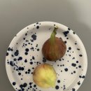 다우농장 | 기부하면 무화과 2kg 0원! 고향사랑기부제 답례품 영암 무화과 실제 후기 (꿀팁)
