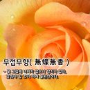 무접 이미지