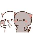 12 이미지