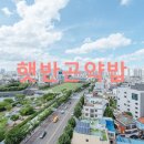 제당약국 이미지