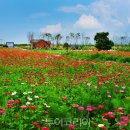 줄포만 게스트하우스 이미지