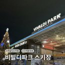 여행영어 야간중급 | [강원도/홍천 여행] 서울 근교 야간 스키 ⛷️ 비발디파크 야간 스키 &amp; 설원 위 마쉬멜로우