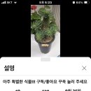 생활용품디씨마트 이미지