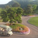 용두산장 이미지