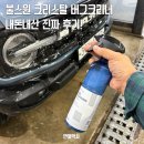 뉴크리스탈 | 여름철 벌레자국 제거, 불스원 뉴 크리스탈 버그크리너 강력 추천! 내돈내산 실사용 후기!