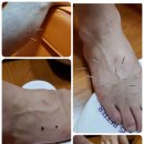 왼발오른발 이미지