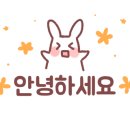젤라또공대 이미지