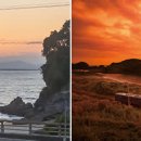 리치리 스테이 이미지