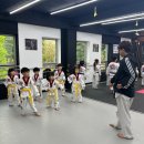 영웅 태권도 | 한양수자인 2단지 정문 상가 2층 영웅 태권도 후기:)