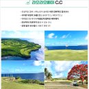 알파골프 이미지