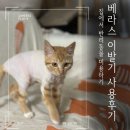 반려동물 고양이 강아지 방수 이발기 베라스 바리깡 구성상품 사용 후기