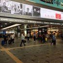 일하는곰아저씨 이미지