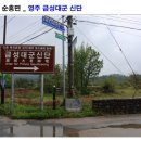 영주 금성대군 신단 | 영주 순흥면 영주 금성대군 신단에 가면..