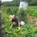 남궁농장 이미지