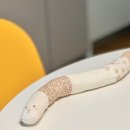 뽀야 | 임산부 태교 바느질 뽀야베이비 뱀띠 애착인형 DIY 키트 만들기