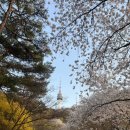 난타5000 피자용산지구점 | 4월 : 우연히 갑자기 행복해지기