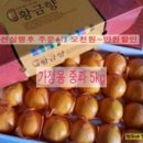 현주네농장 이미지
