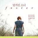 미와진 이미지